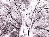Tree Magic 142-B van MoArt (Maurice Heuts) thumbnail