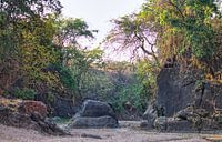 Ruige rivierbedding in Malawi