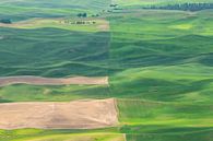 Steptoe Butte, Washington van Charlotte Bakker thumbnail