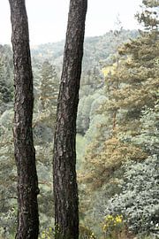 Landschaft in Frankreich