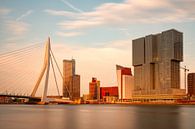Rotterdam skyline zonsondergang von vanrijsbergen Miniaturansicht