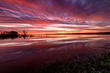 Le feu dans le ciel.