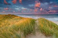 Sunset on the beach by Smit in Beeld thumbnail