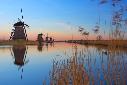 Kinderdijk