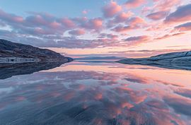 Golden light on New Zealand's coast
