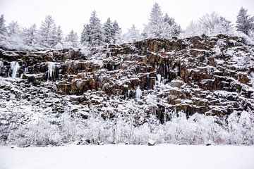 Korte winterwandeling in het besneeuwde Thüringer Woud bij Floh-Seligenthal - Thüringen - Duitsland van Oliver Hlavaty