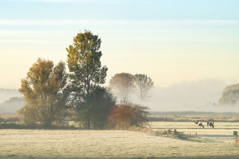 cool sunrise by Ton Valk