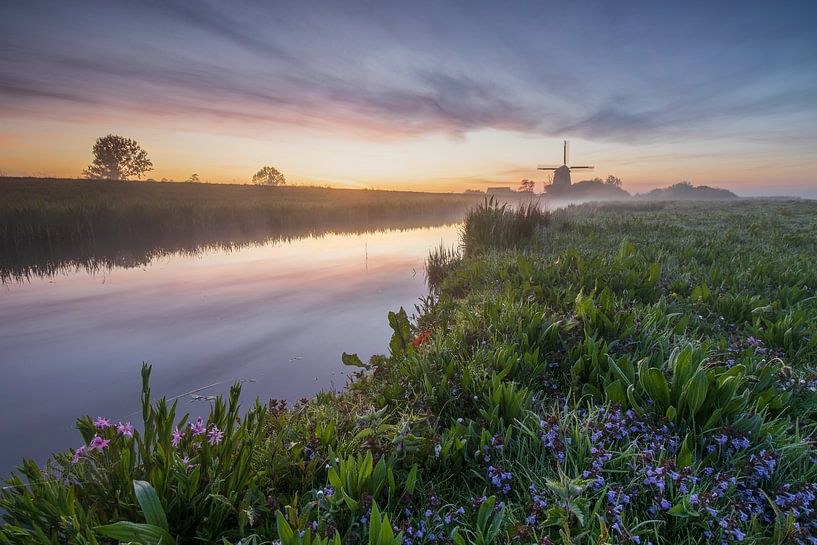 Mistige zonsopkomst boven de weilanden van Grootschermer met molen De Havik op de achtergrond van Bram Lubbers
