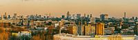skyline rotterdam