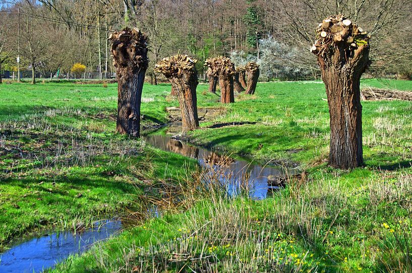 Beschermd landschapsgebied van Edgar Schermaul