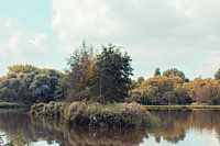 Le parc du Pentagone