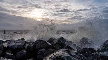 L'eau sur Rebecca den Hertog