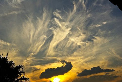Sunset Dance in Midrand sur Christiane Behrmann