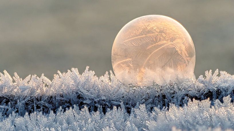 Frozen art #2 by Lex Schulte