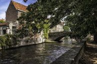 Stad Brugge Groenerei brug Peerdenstraat van Focco van Eek thumbnail