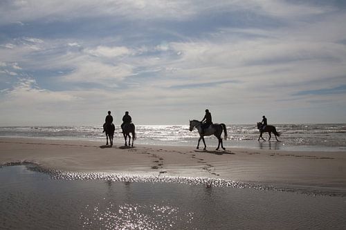 Paarden tijdens schemering op Wassenaarse slag