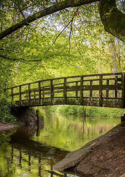 Bridge in the Bekendelle by Hans Monasso