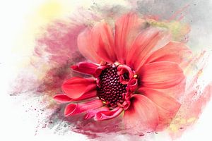 red Queen mini zonnebloem