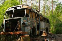 Bus at car graveyard in the forest