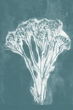 Moderne botanische Kunst. Weiße Blume auf aquamarinblau von Dina Dankers
