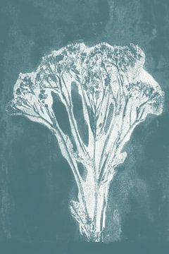 Modern botanical art. White flower on teal blue by Dina Dankers