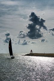 Backlight and the port of Stavoren in Friesland by Harrie Muis
