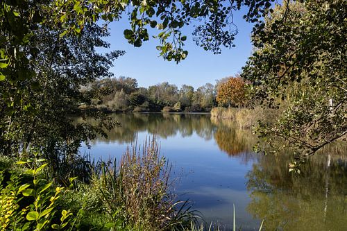 Herfstweerkaatsingen in Dendermonde, België