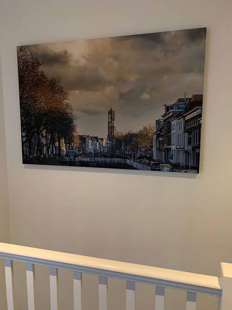 View of the Bemuurde Weerd and the Dom tower in Utrecht. by De Utrechtse Internet Courant (DUIC)