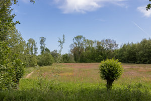 Groningen und Drenthe Veenkoloniën
