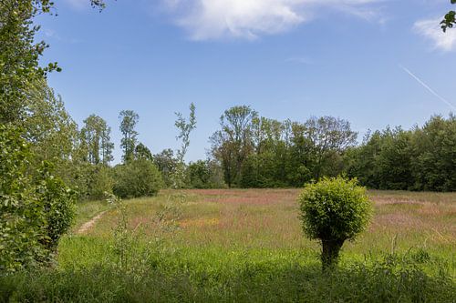 Groningen und Drenthe Veenkoloniën