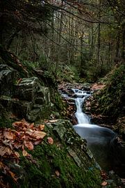 Wasserfall in der Hoëgne von Marten Tacoma