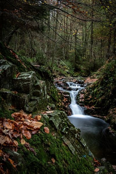 Waterfall in the Hoëgne by Marten Tacoma
