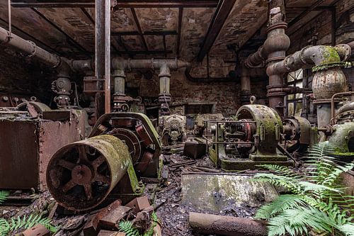 Welcome to the jungle