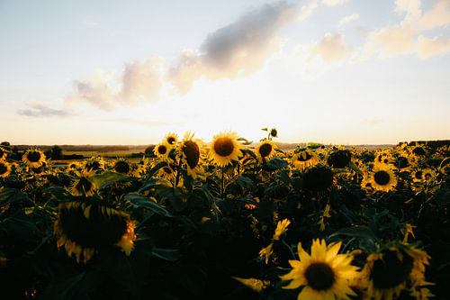 Une très belle photo