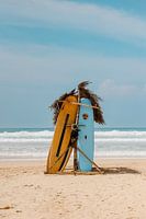 Planches de surf sur une plage tropicale au Sri Lanka