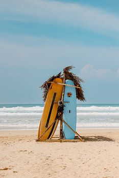 Planches de surf sur une plage tropicale au Sri Lanka