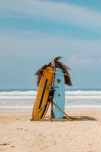 Surfboards on tropical beach in Sri Lanka