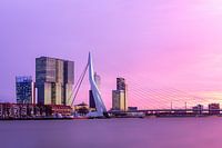 Sunset Erasmus Bridge from the Boompjes in Rotterdam