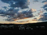 Sunset and Clouds