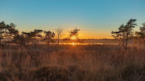 Les Flaes sur le domaine De Utrecht