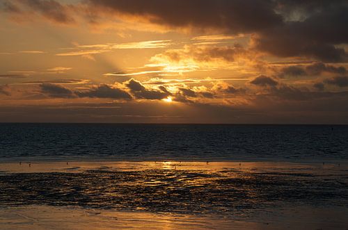 Golden sunset aan het wad