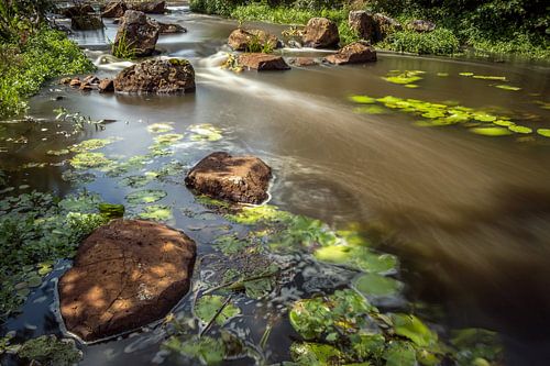 Ruiten Ae Oost- Groningen