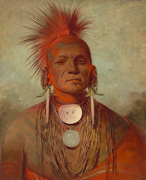 George Catlin, See-non-ty-a, a medicine man from Iowa, 1845 by Atelier Liesjes