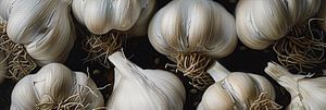Malerei Knoblauch