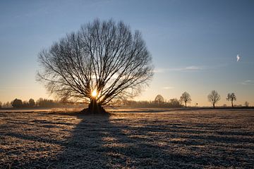 Zonsopgang in de winter