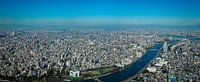 Birds eye view on tokyo by Jasper H thumbnail