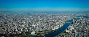 Birds eye view on tokyo von Jasper H