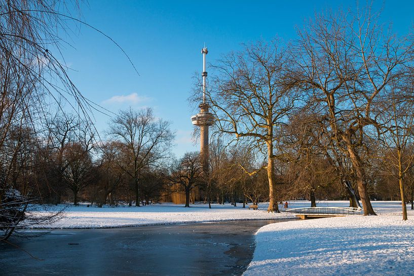 Der Euromast - Winter 5 von Nuance Beeld