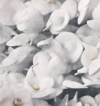 Blumen-Rhapsodie von Mavro Orbino