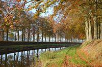 Herfst aan de Schipbeek